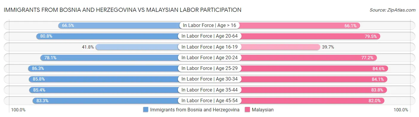Immigrants from Bosnia and Herzegovina vs Malaysian Labor Participation