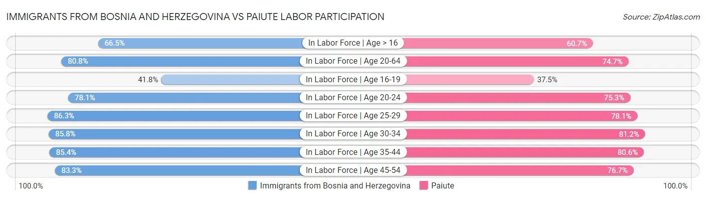 Immigrants from Bosnia and Herzegovina vs Paiute Labor Participation