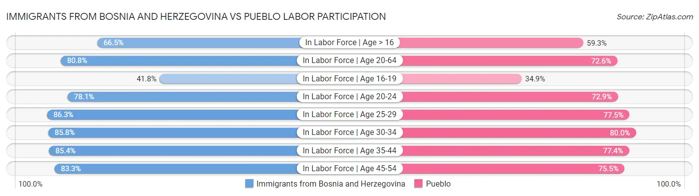 Immigrants from Bosnia and Herzegovina vs Pueblo Labor Participation