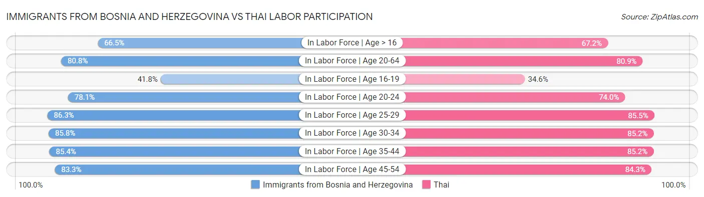 Immigrants from Bosnia and Herzegovina vs Thai Labor Participation