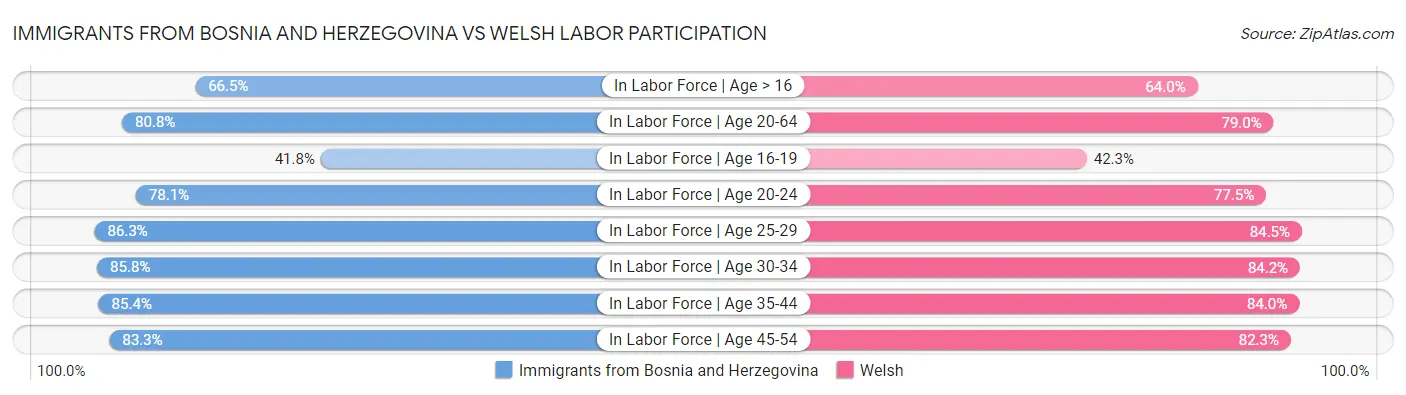 Immigrants from Bosnia and Herzegovina vs Welsh Labor Participation