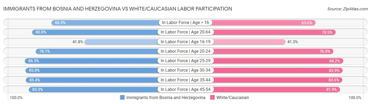 Immigrants from Bosnia and Herzegovina vs White/Caucasian Labor Participation