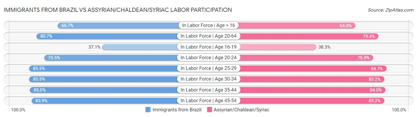 Immigrants from Brazil vs Assyrian/Chaldean/Syriac Labor Participation