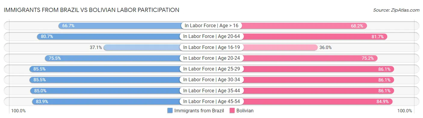 Immigrants from Brazil vs Bolivian Labor Participation