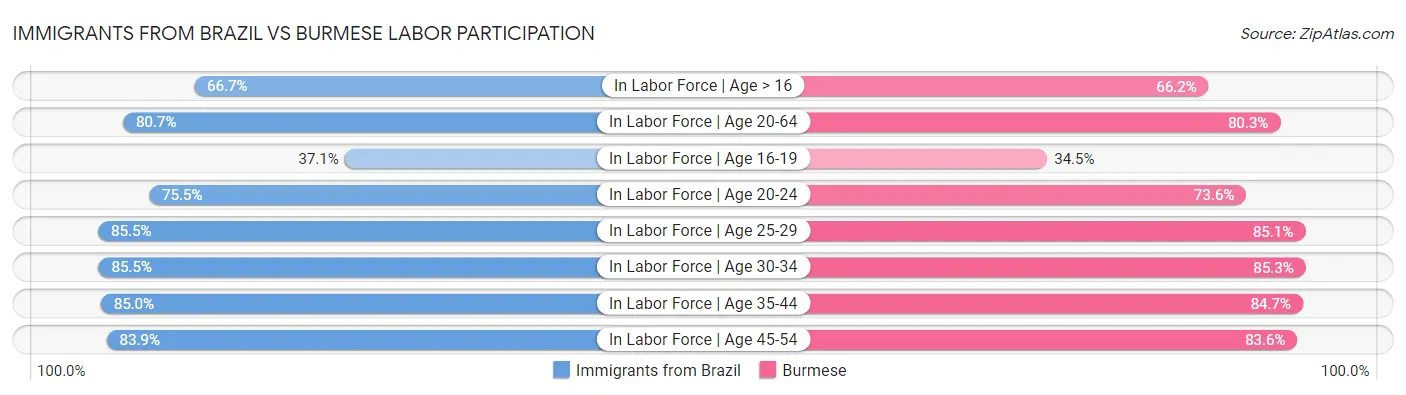 Immigrants from Brazil vs Burmese Labor Participation