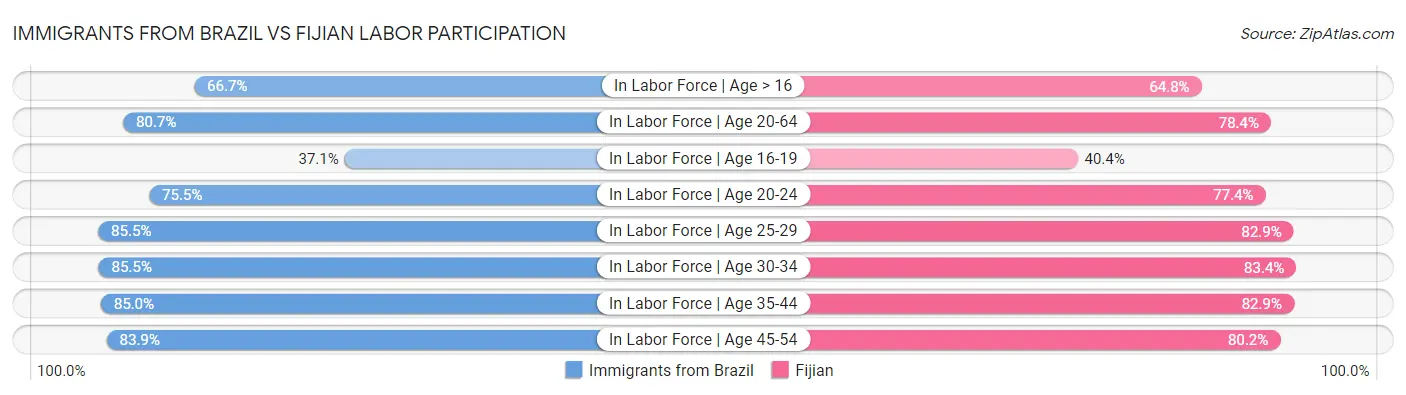 Immigrants from Brazil vs Fijian Labor Participation