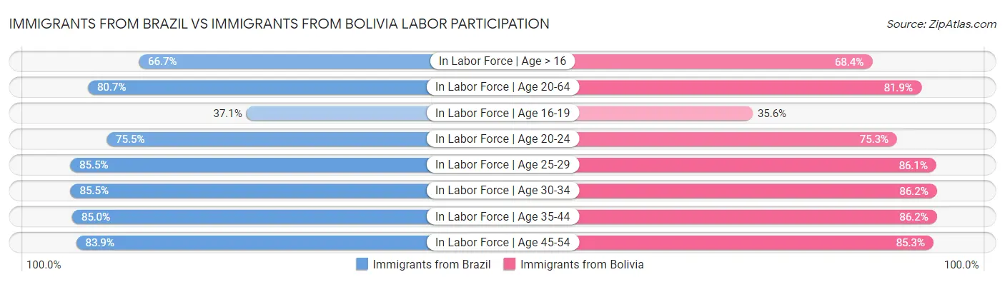 Immigrants from Brazil vs Immigrants from Bolivia Labor Participation