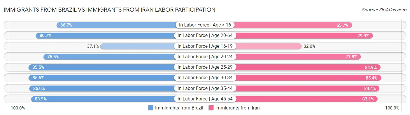 Immigrants from Brazil vs Immigrants from Iran Labor Participation