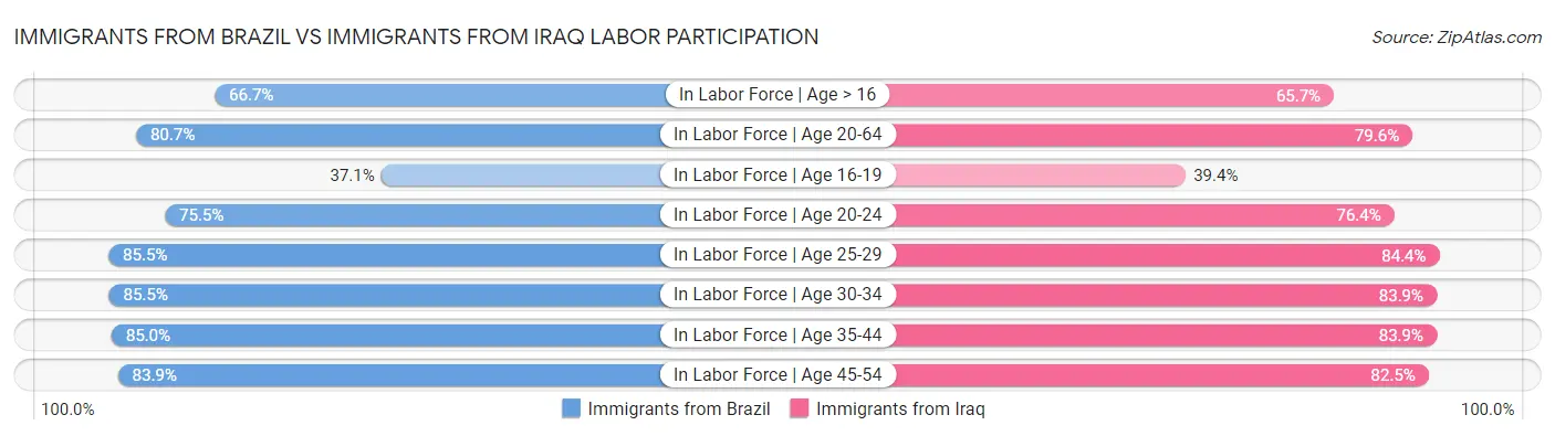 Immigrants from Brazil vs Immigrants from Iraq Labor Participation