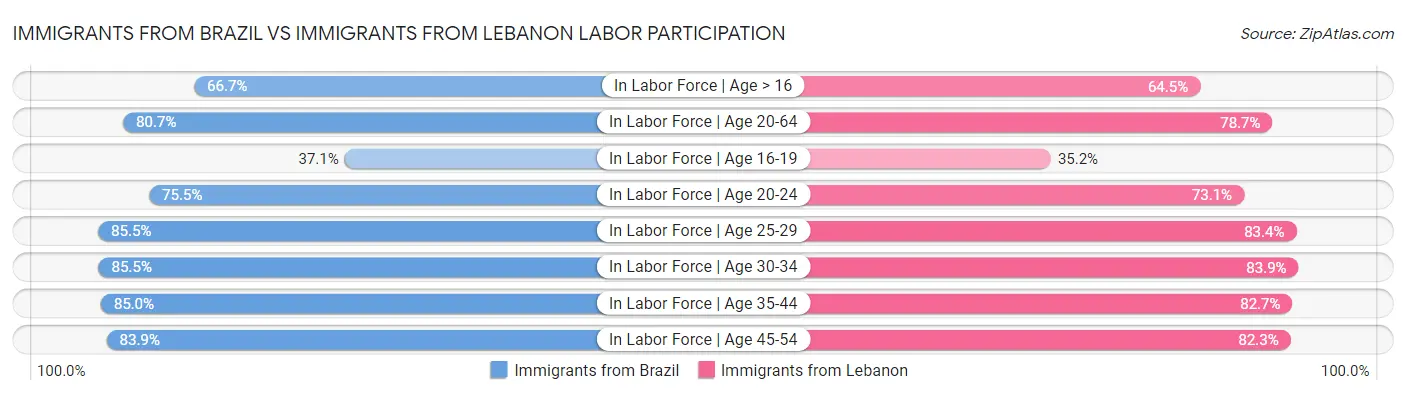 Immigrants from Brazil vs Immigrants from Lebanon Labor Participation