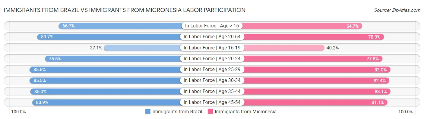 Immigrants from Brazil vs Immigrants from Micronesia Labor Participation