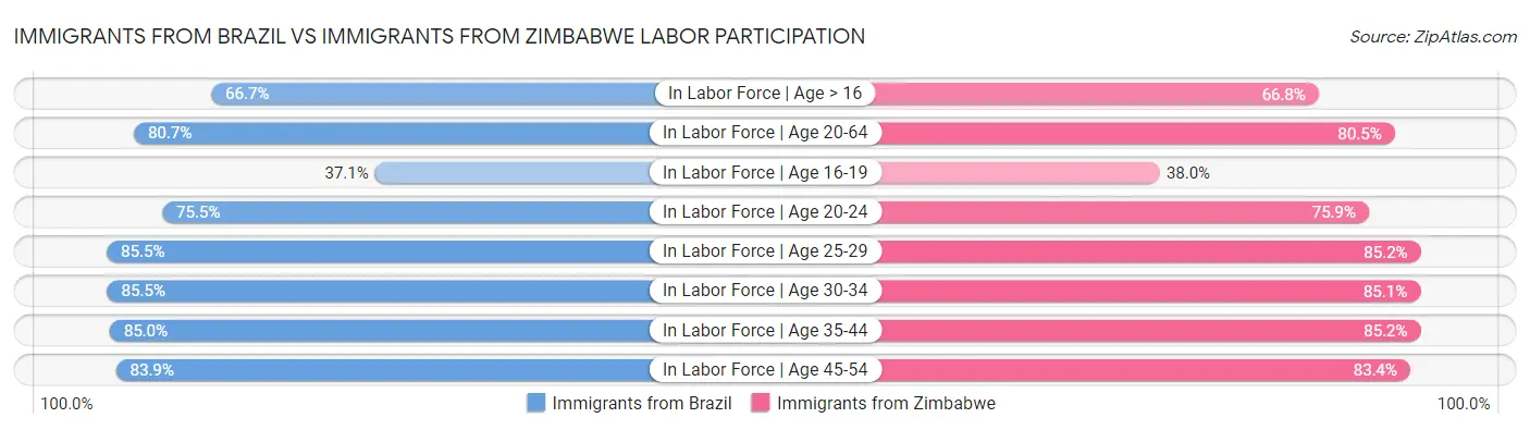 Immigrants from Brazil vs Immigrants from Zimbabwe Labor Participation