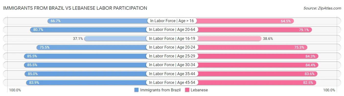 Immigrants from Brazil vs Lebanese Labor Participation