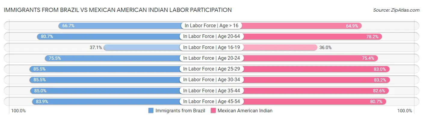 Immigrants from Brazil vs Mexican American Indian Labor Participation