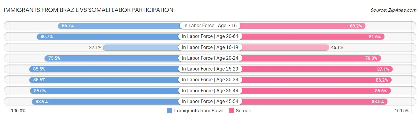 Immigrants from Brazil vs Somali Labor Participation