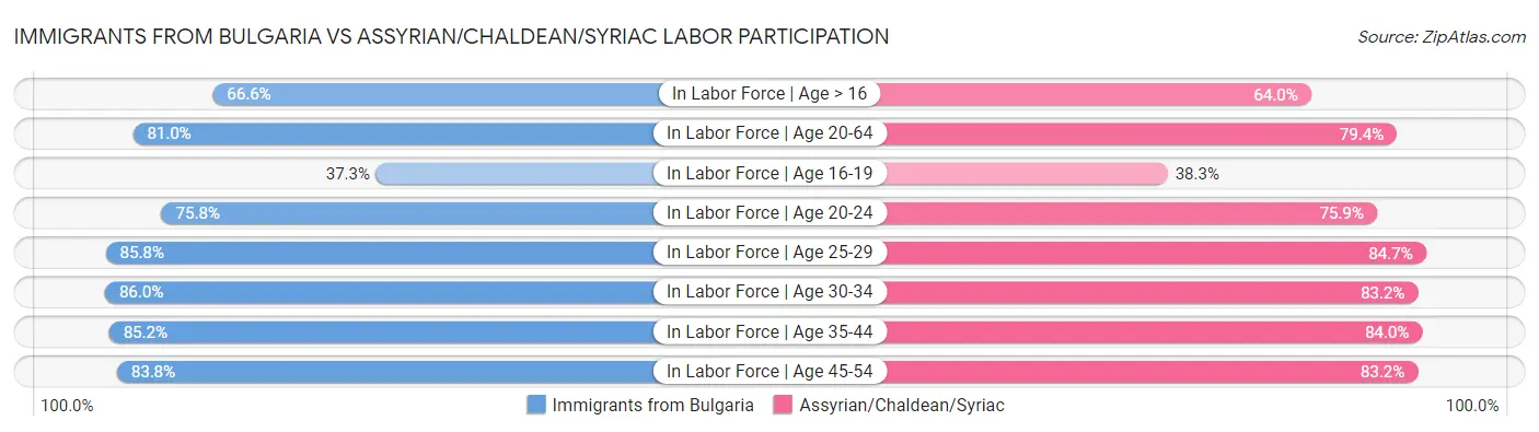 Immigrants from Bulgaria vs Assyrian/Chaldean/Syriac Labor Participation