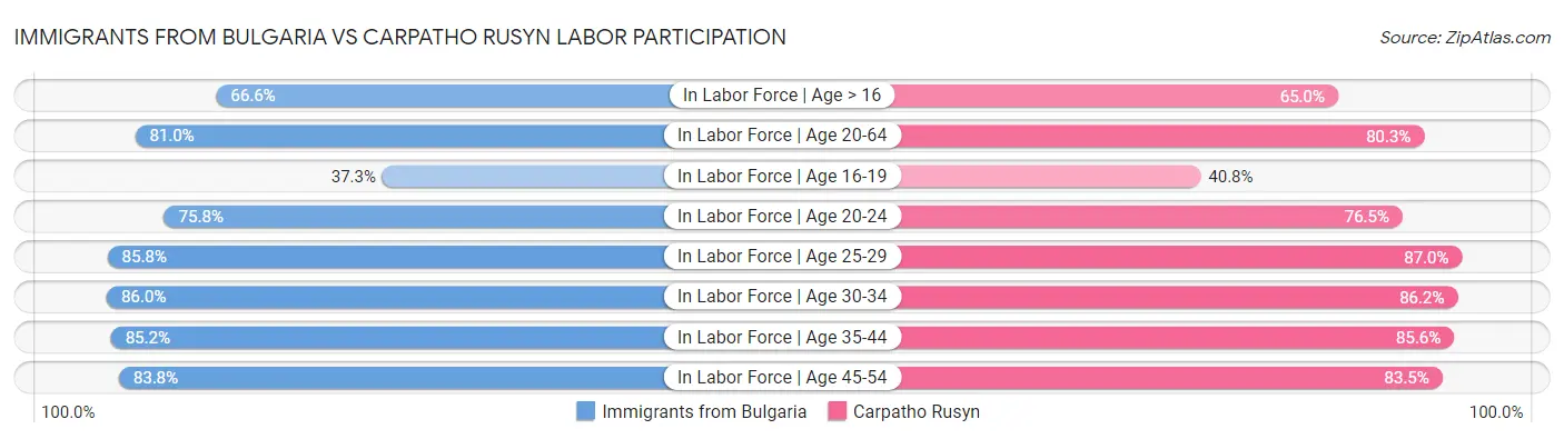 Immigrants from Bulgaria vs Carpatho Rusyn Labor Participation