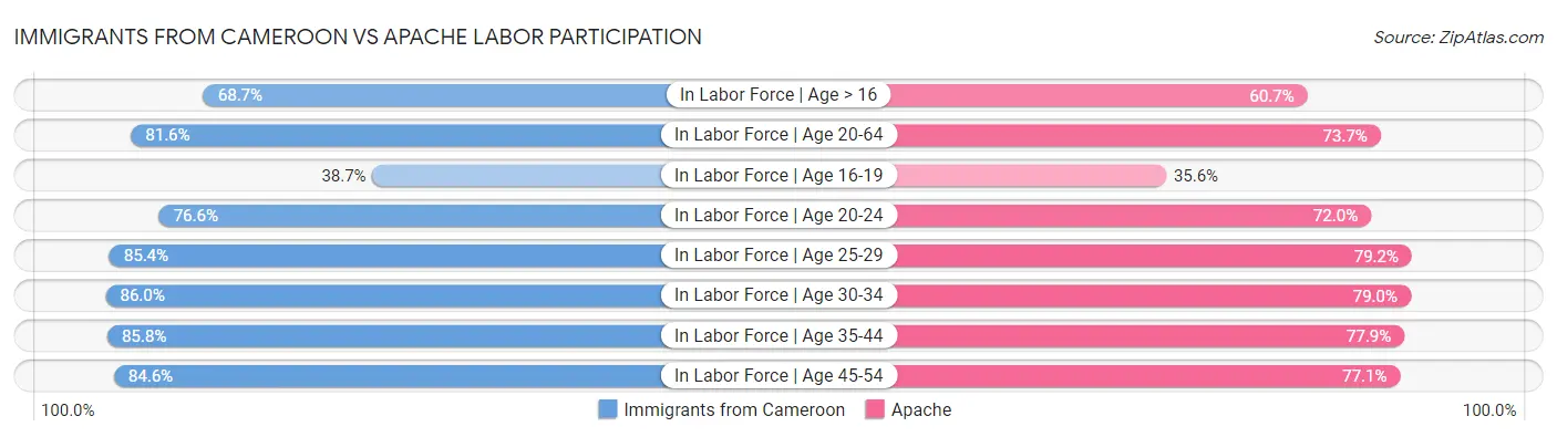 Immigrants from Cameroon vs Apache Labor Participation