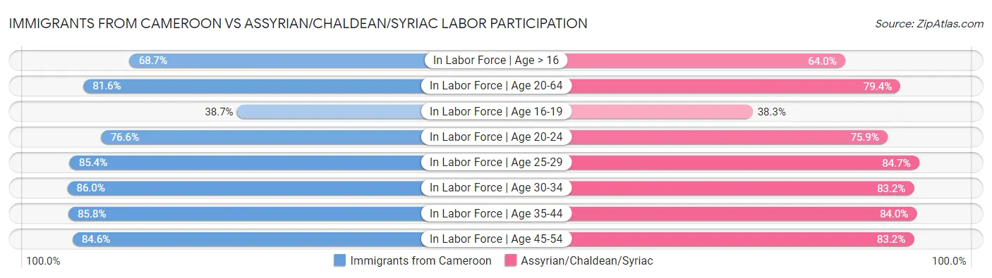 Immigrants from Cameroon vs Assyrian/Chaldean/Syriac Labor Participation