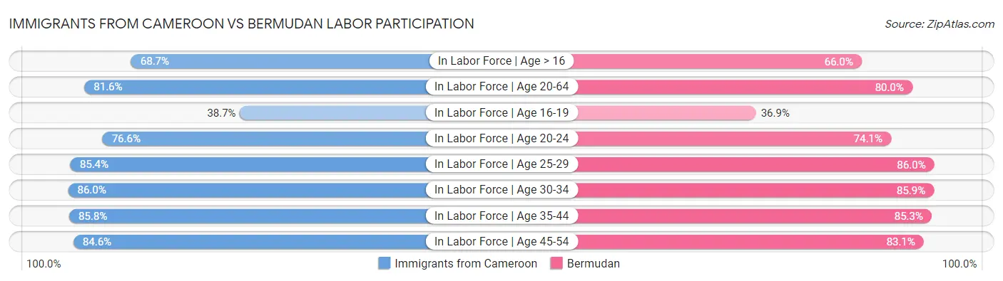 Immigrants from Cameroon vs Bermudan Labor Participation
