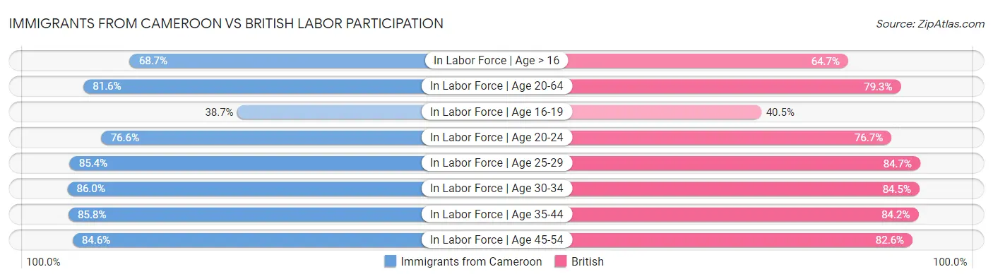 Immigrants from Cameroon vs British Labor Participation
