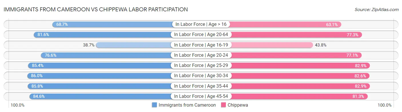 Immigrants from Cameroon vs Chippewa Labor Participation