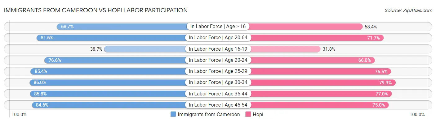 Immigrants from Cameroon vs Hopi Labor Participation