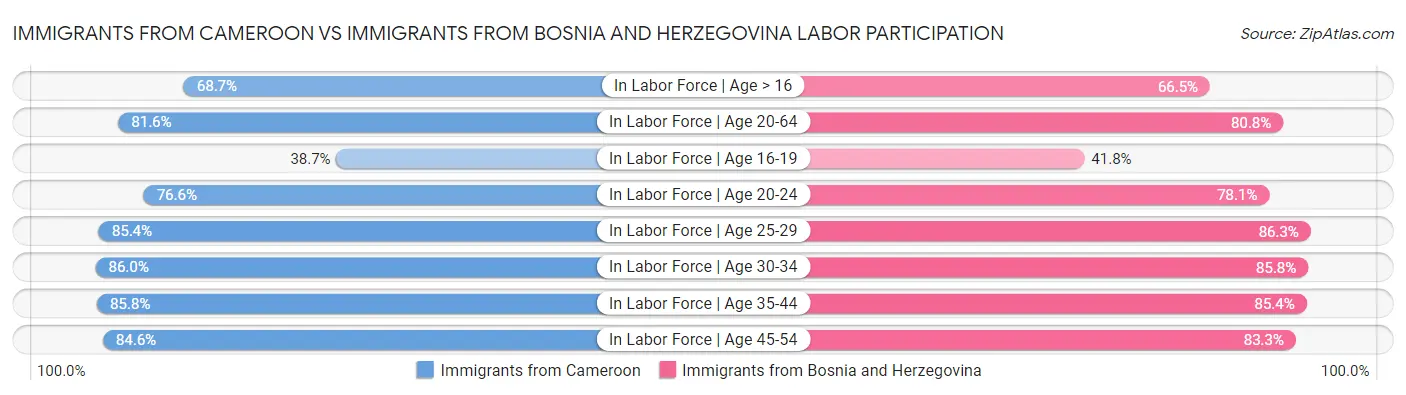 Immigrants from Cameroon vs Immigrants from Bosnia and Herzegovina Labor Participation