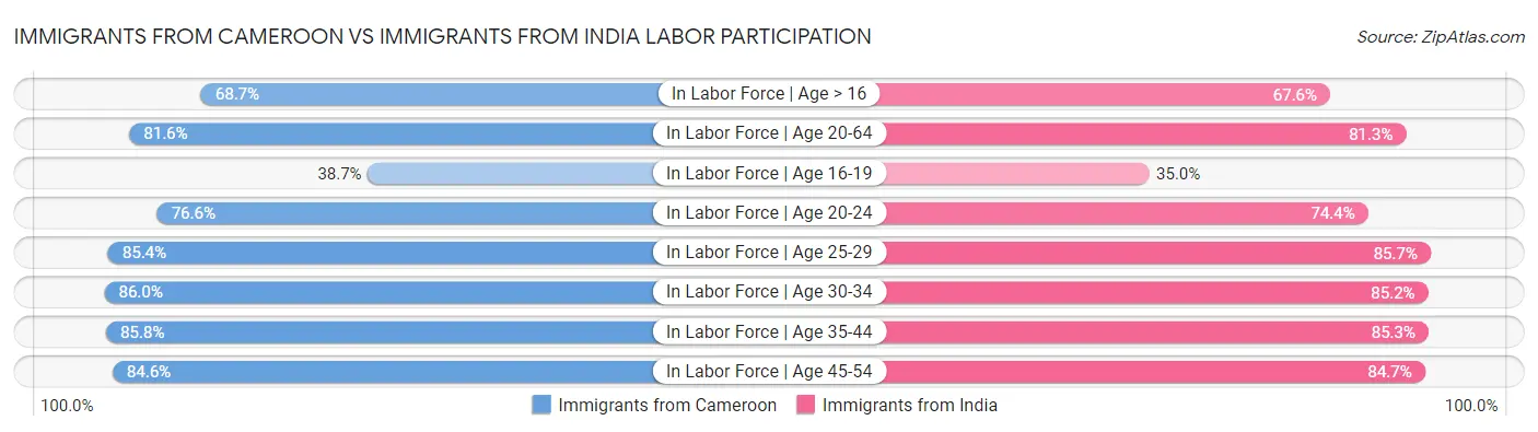 Immigrants from Cameroon vs Immigrants from India Labor Participation