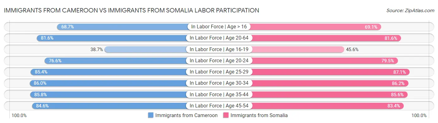 Immigrants from Cameroon vs Immigrants from Somalia Labor Participation