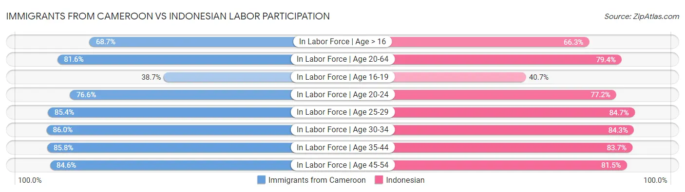 Immigrants from Cameroon vs Indonesian Labor Participation