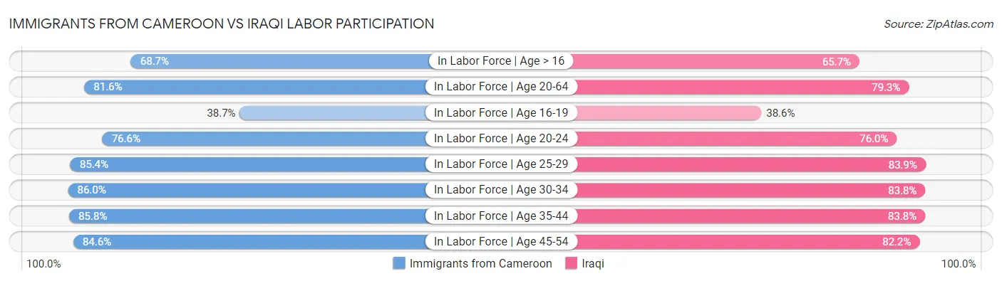 Immigrants from Cameroon vs Iraqi Labor Participation