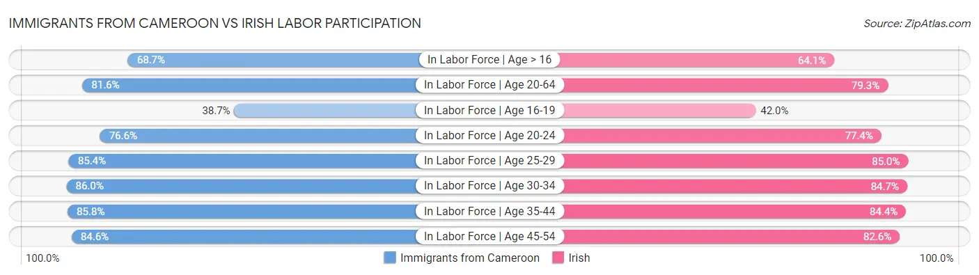Immigrants from Cameroon vs Irish Labor Participation
