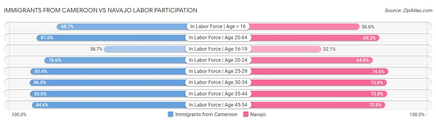 Immigrants from Cameroon vs Navajo Labor Participation
