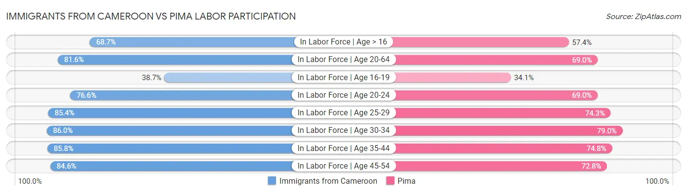 Immigrants from Cameroon vs Pima Labor Participation