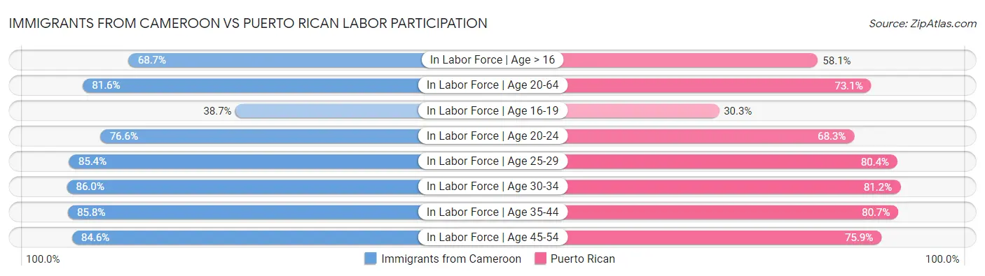 Immigrants from Cameroon vs Puerto Rican Labor Participation