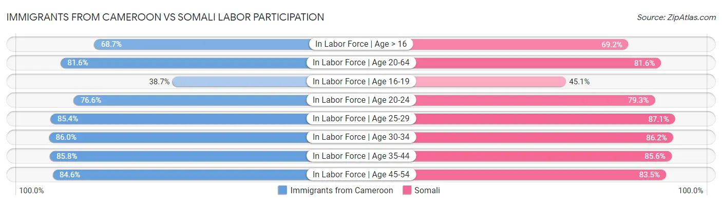 Immigrants from Cameroon vs Somali Labor Participation