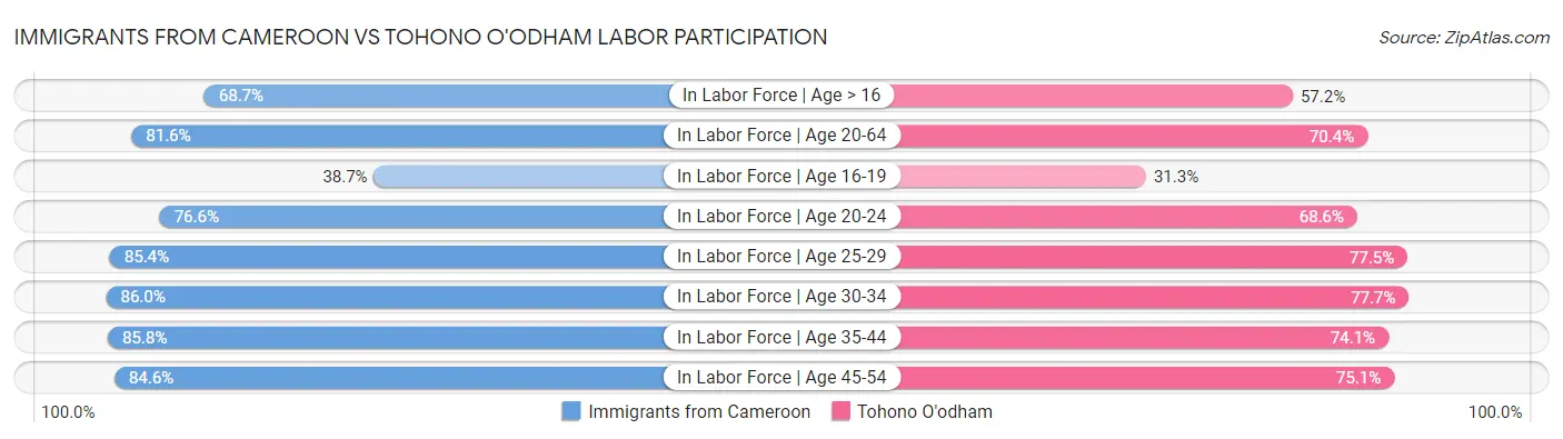 Immigrants from Cameroon vs Tohono O'odham Labor Participation
