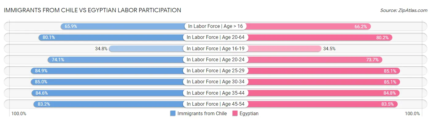 Immigrants from Chile vs Egyptian Labor Participation