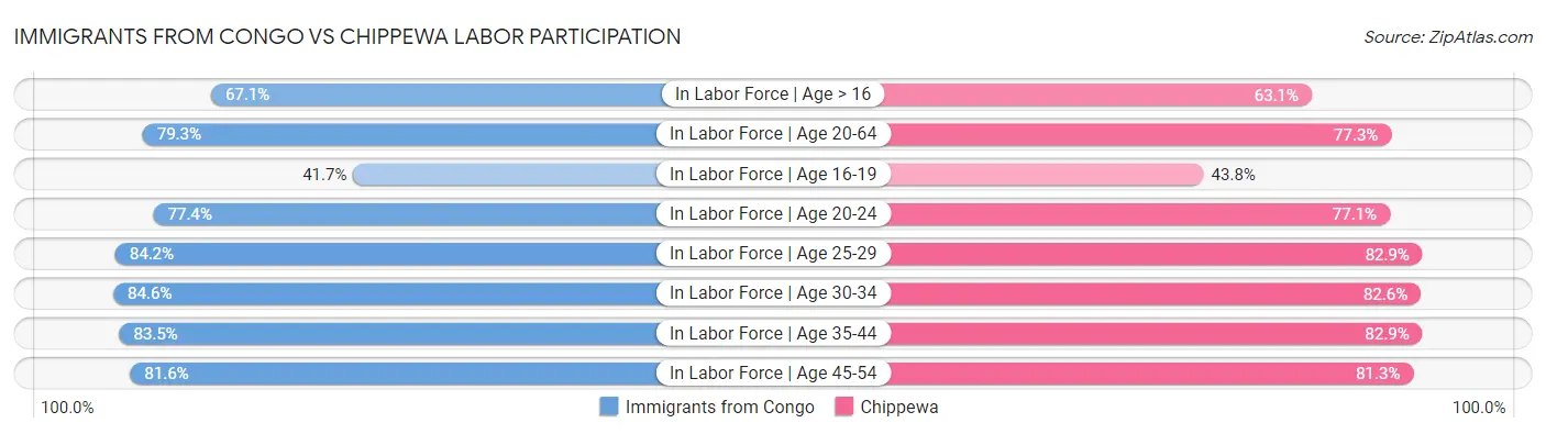 Immigrants from Congo vs Chippewa Labor Participation