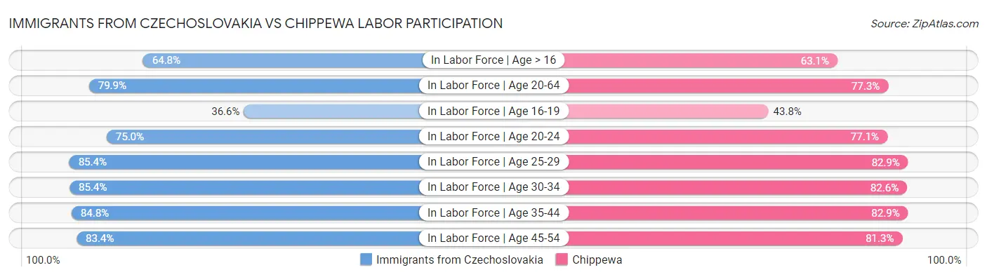 Immigrants from Czechoslovakia vs Chippewa Labor Participation