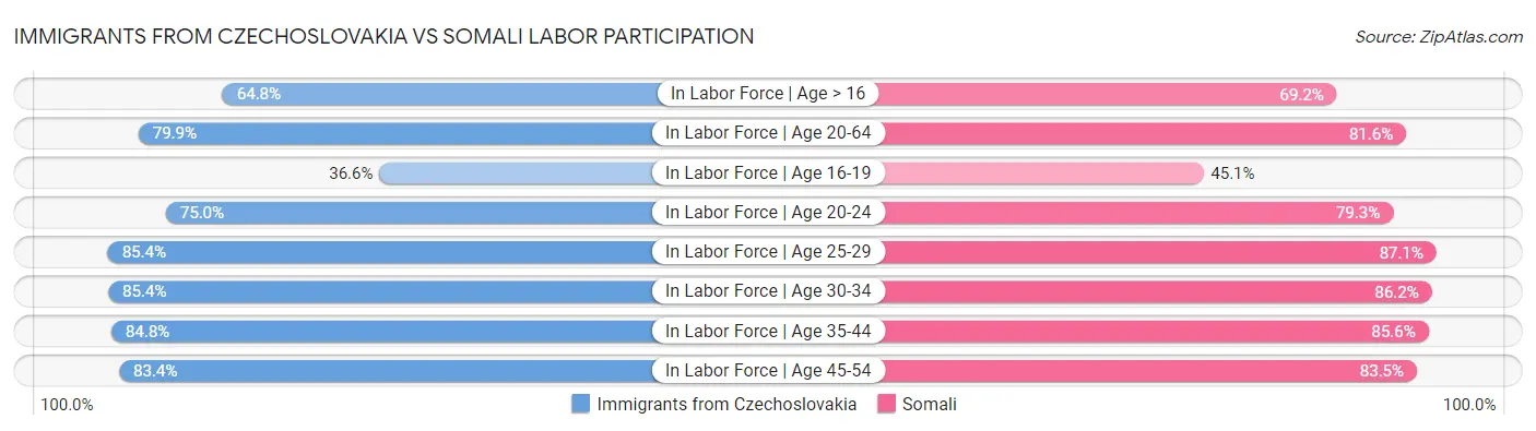 Immigrants from Czechoslovakia vs Somali Labor Participation