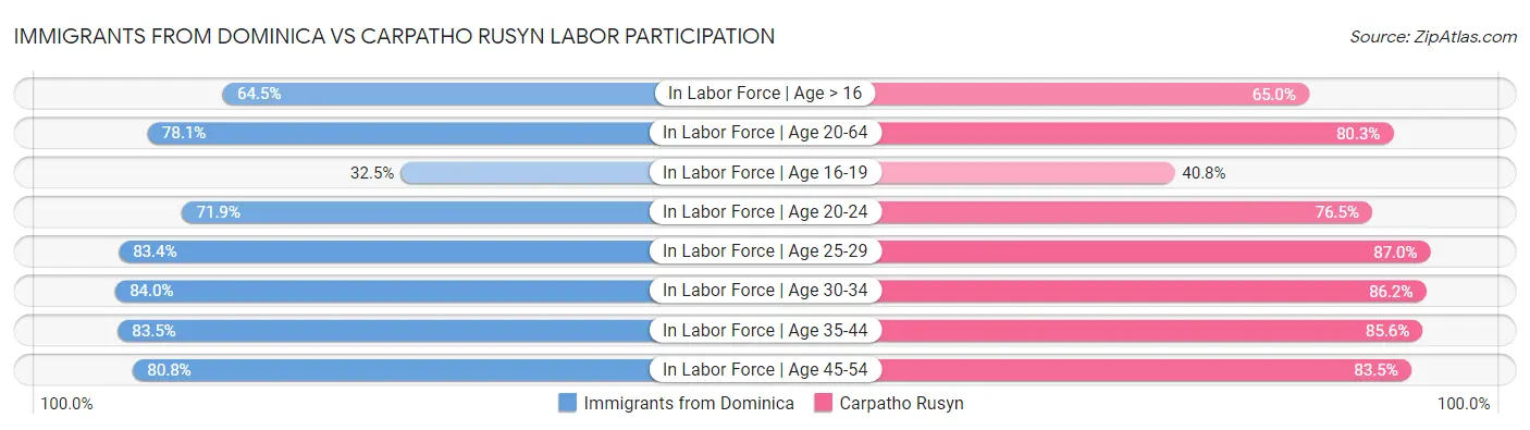 Immigrants from Dominica vs Carpatho Rusyn Labor Participation