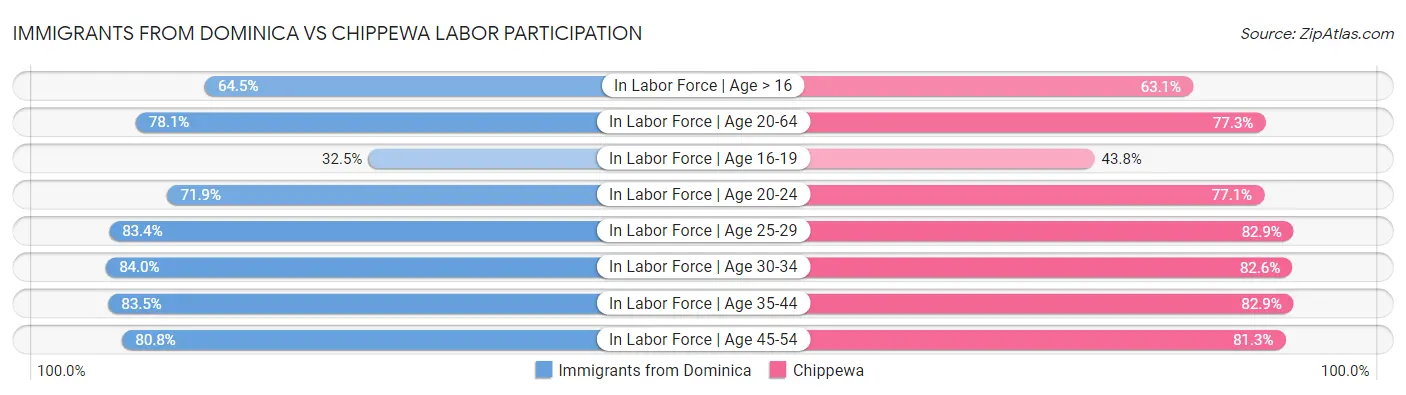 Immigrants from Dominica vs Chippewa Labor Participation