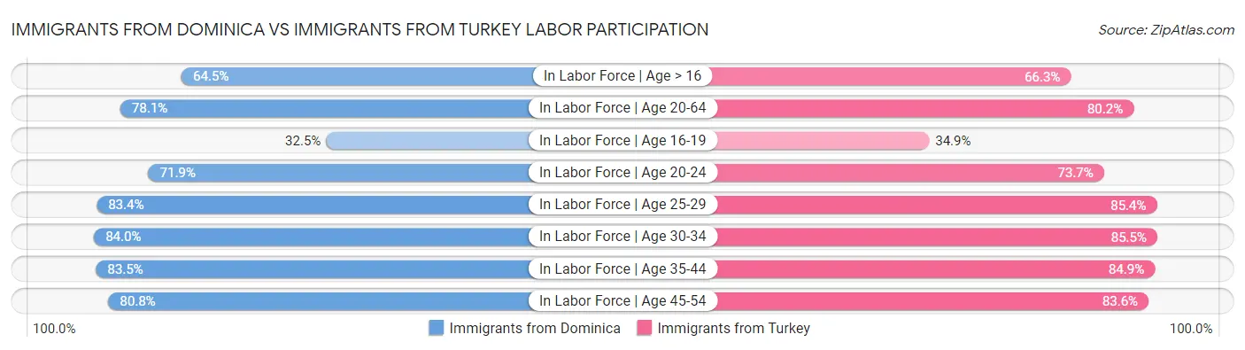 Immigrants from Dominica vs Immigrants from Turkey Labor Participation