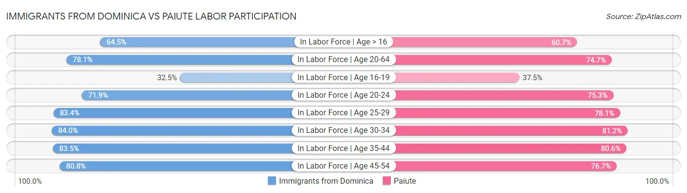 Immigrants from Dominica vs Paiute Labor Participation