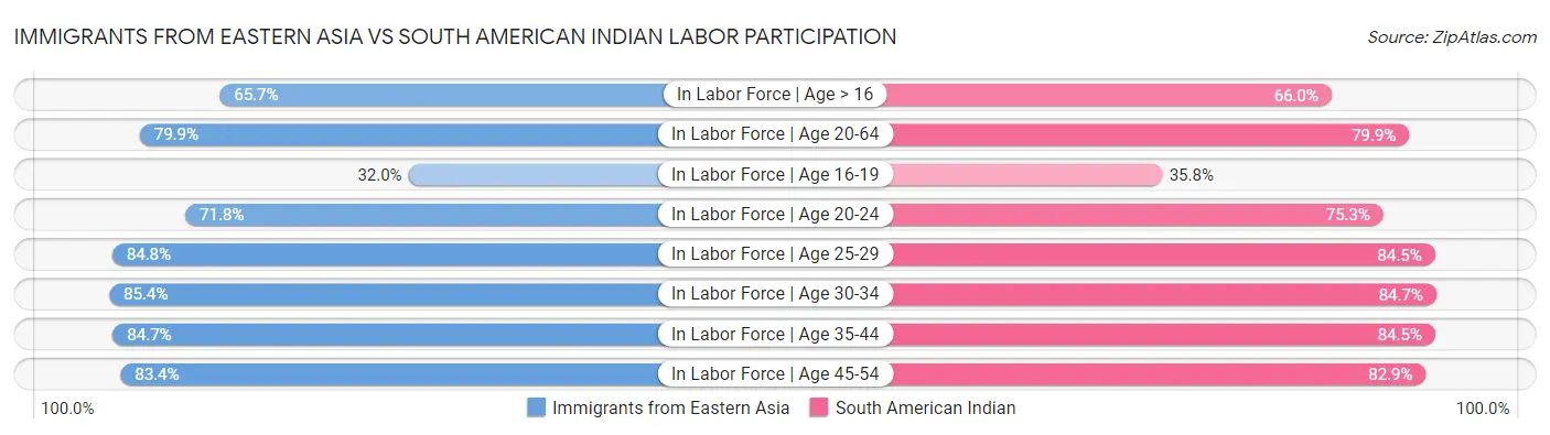Immigrants from Eastern Asia vs South American Indian Labor Participation