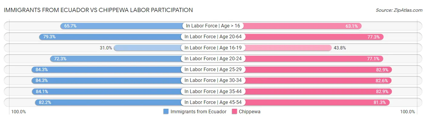 Immigrants from Ecuador vs Chippewa Labor Participation