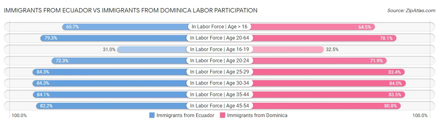 Immigrants from Ecuador vs Immigrants from Dominica Labor Participation