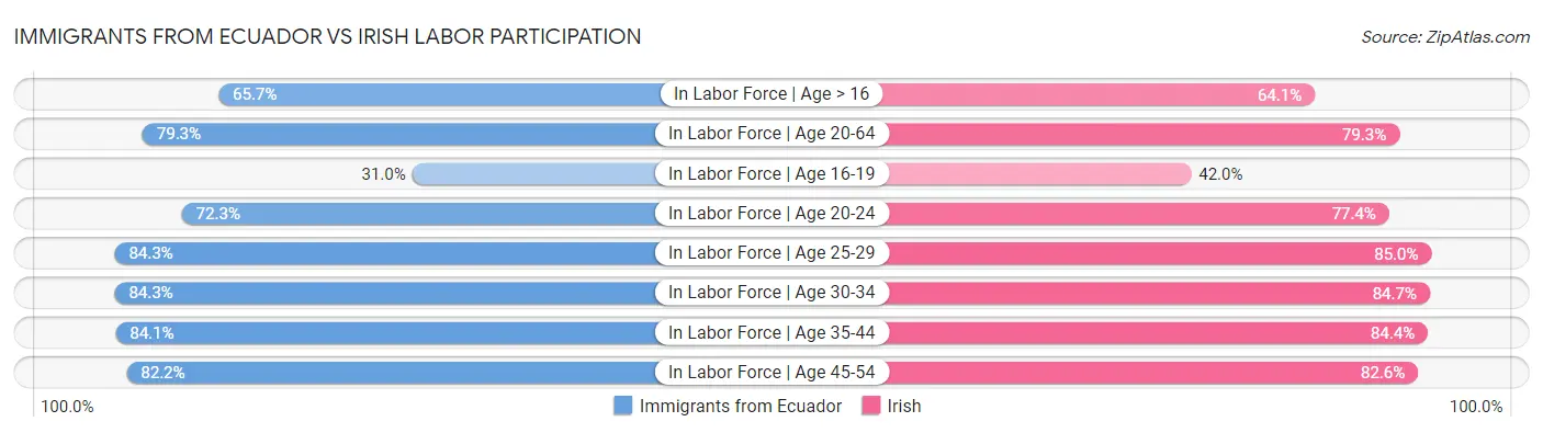 Immigrants from Ecuador vs Irish Labor Participation